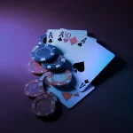 야옹이토토 추천 – 당신이 알아야 할 모든 것